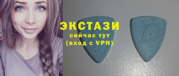 стаф Аркадак