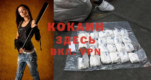 стаф Аркадак