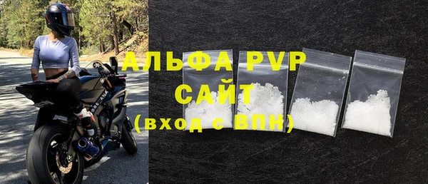 стаф Аркадак