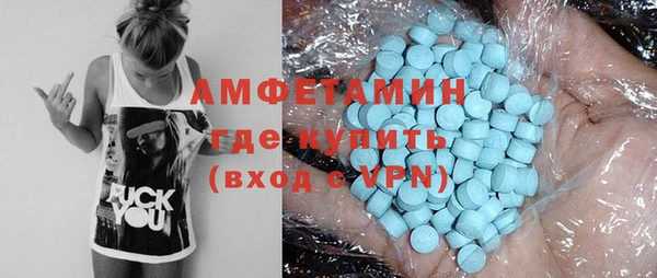 стаф Аркадак