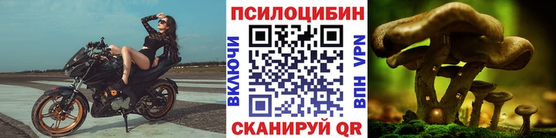 где можно купить   гидра ссылка  Псилоцибиновые грибы прущие грибы  Малгобек 