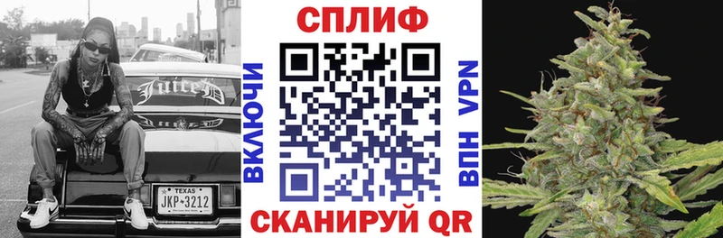 Конопля сатива Малгобек